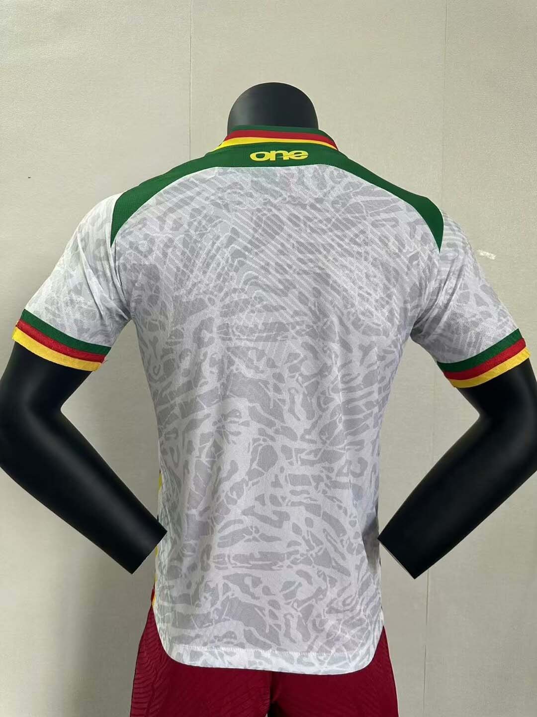 2024 Player Version Cameroon Third Away Football Shirt-mysite Custom Football Kit- Nextkits