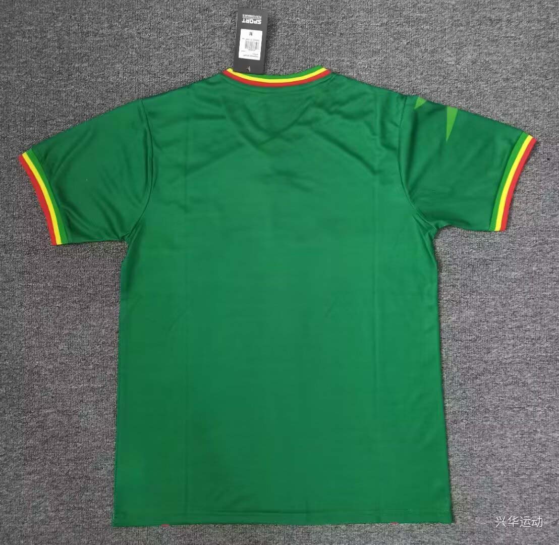 2024 Mali Africa Cup Away Football Shirt-mysite Custom Football Kit- Nextkits