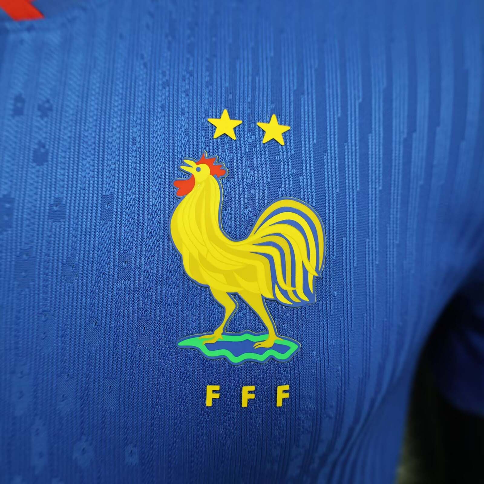 2024-2025 Player Version France Home Football Shirt-mysite Custom Football Kit- Nextkits
