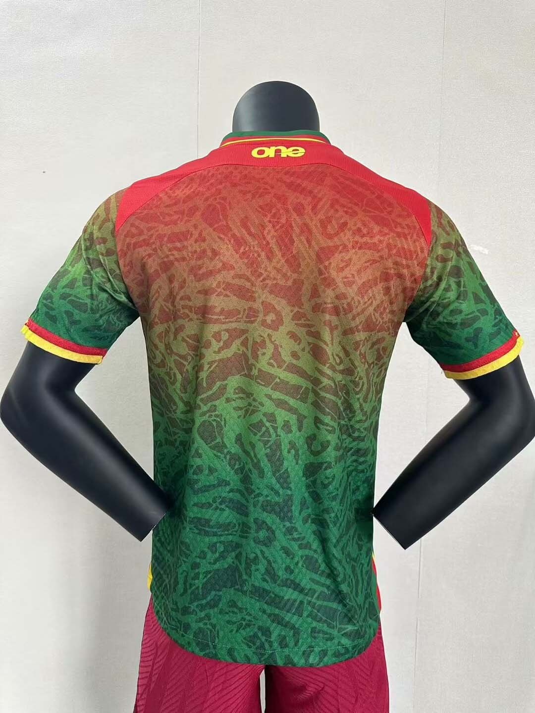 2024 Player Version Cameroon Home Football Shirt-mysite Custom Football Kit- Nextkits