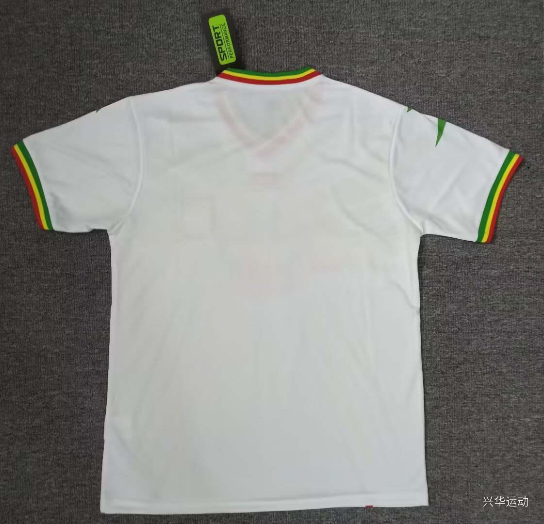 2024 Mali Africa Cup Home Football Shirt-mysite Custom Football Kit- Nextkits