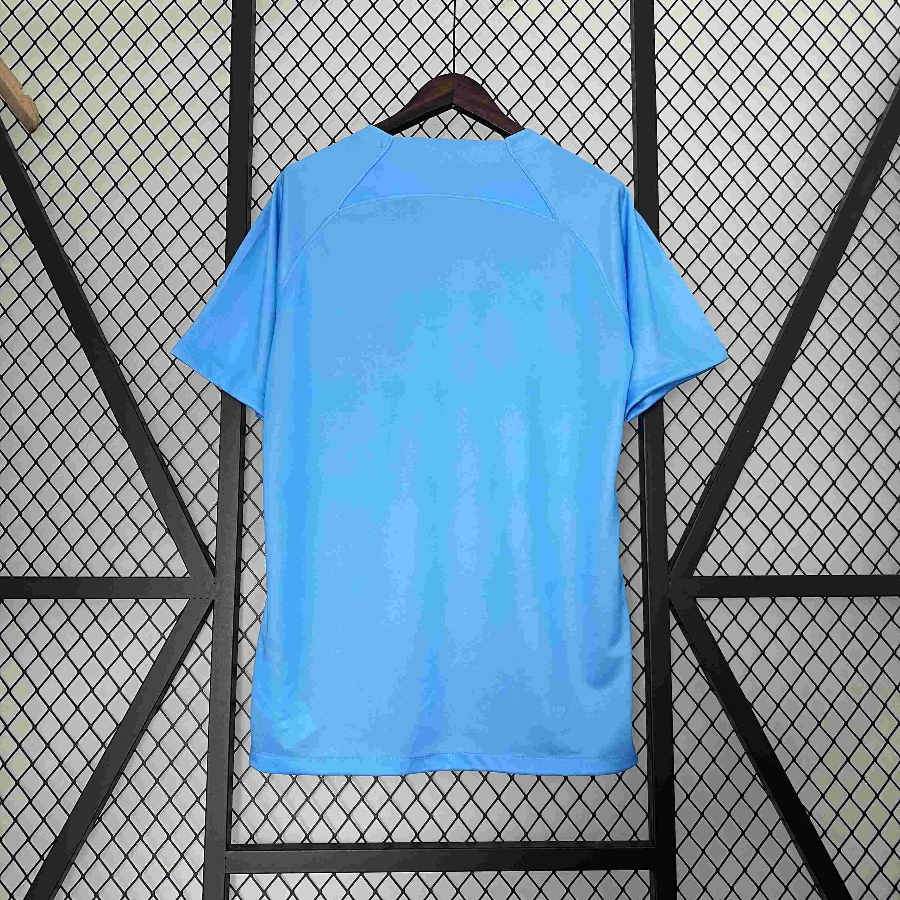 2024 Netherlands National Team Special Edition Football Shirt-mysite Custom Football Kit- Nextkits