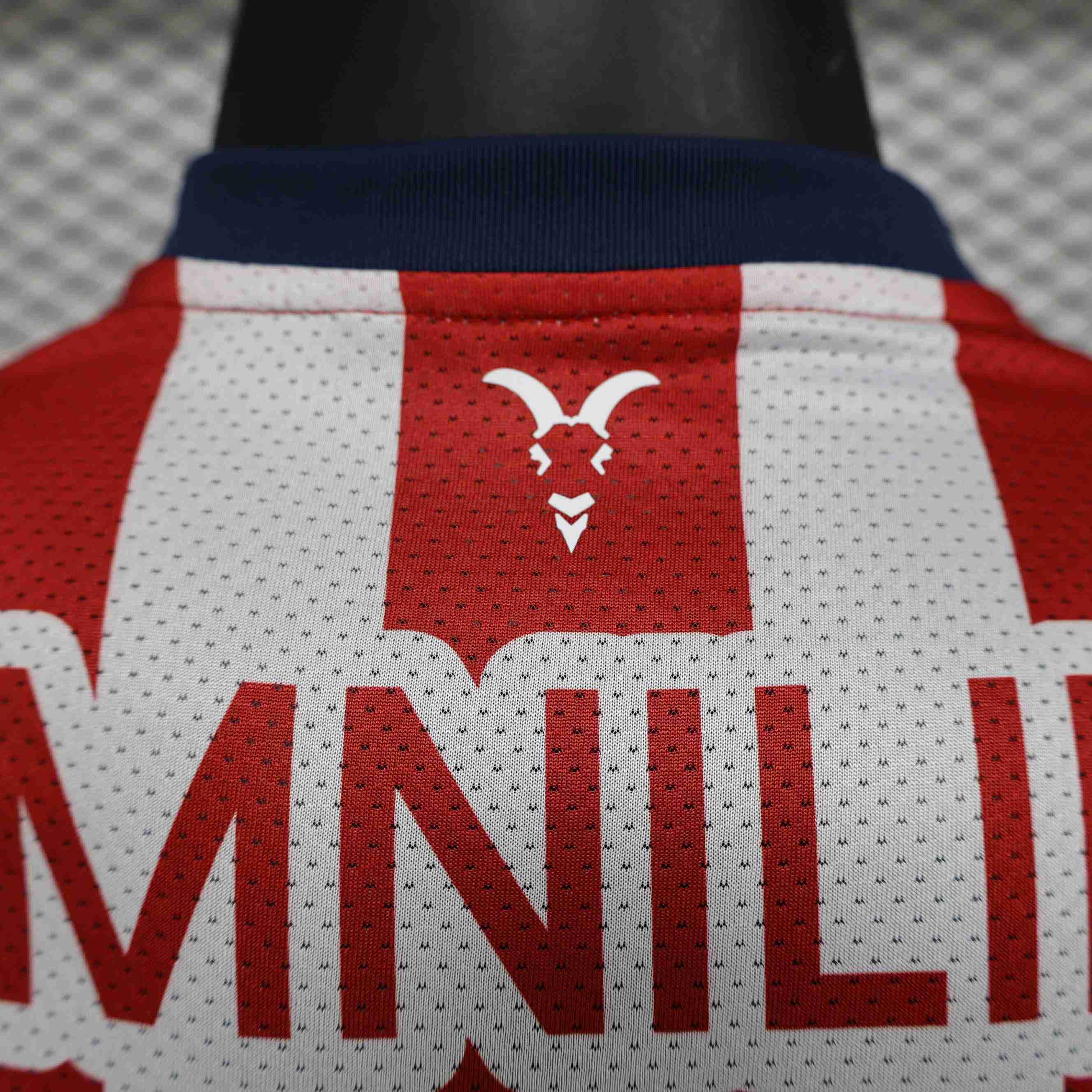 2024/2025 Player Version Chivas Home Soccer Jersey-mysite Custom Football Kit- Nextkits