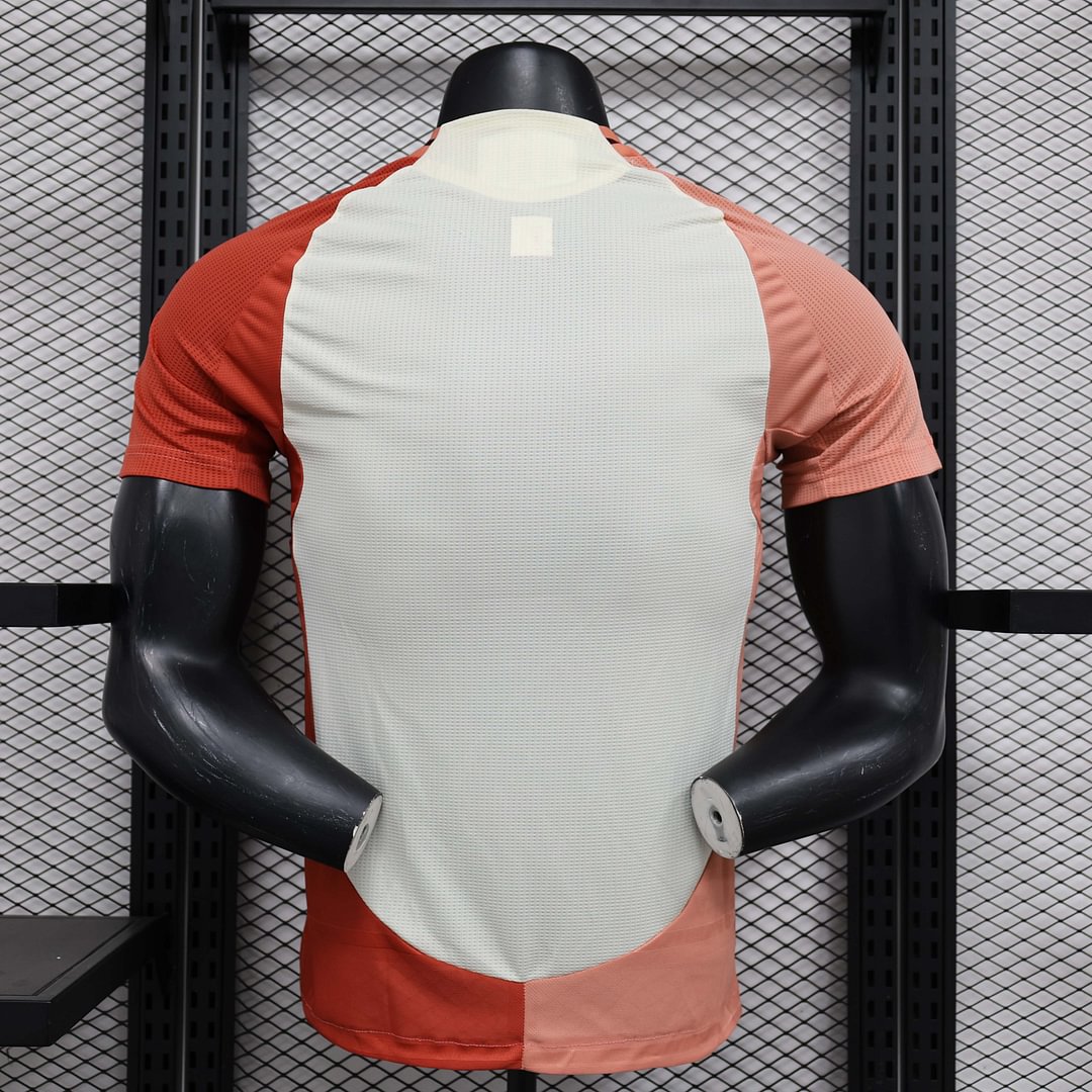 24/25 Player Version Lyon Third Away Football Shirt-mysite Custom Football Kit- Nextkits