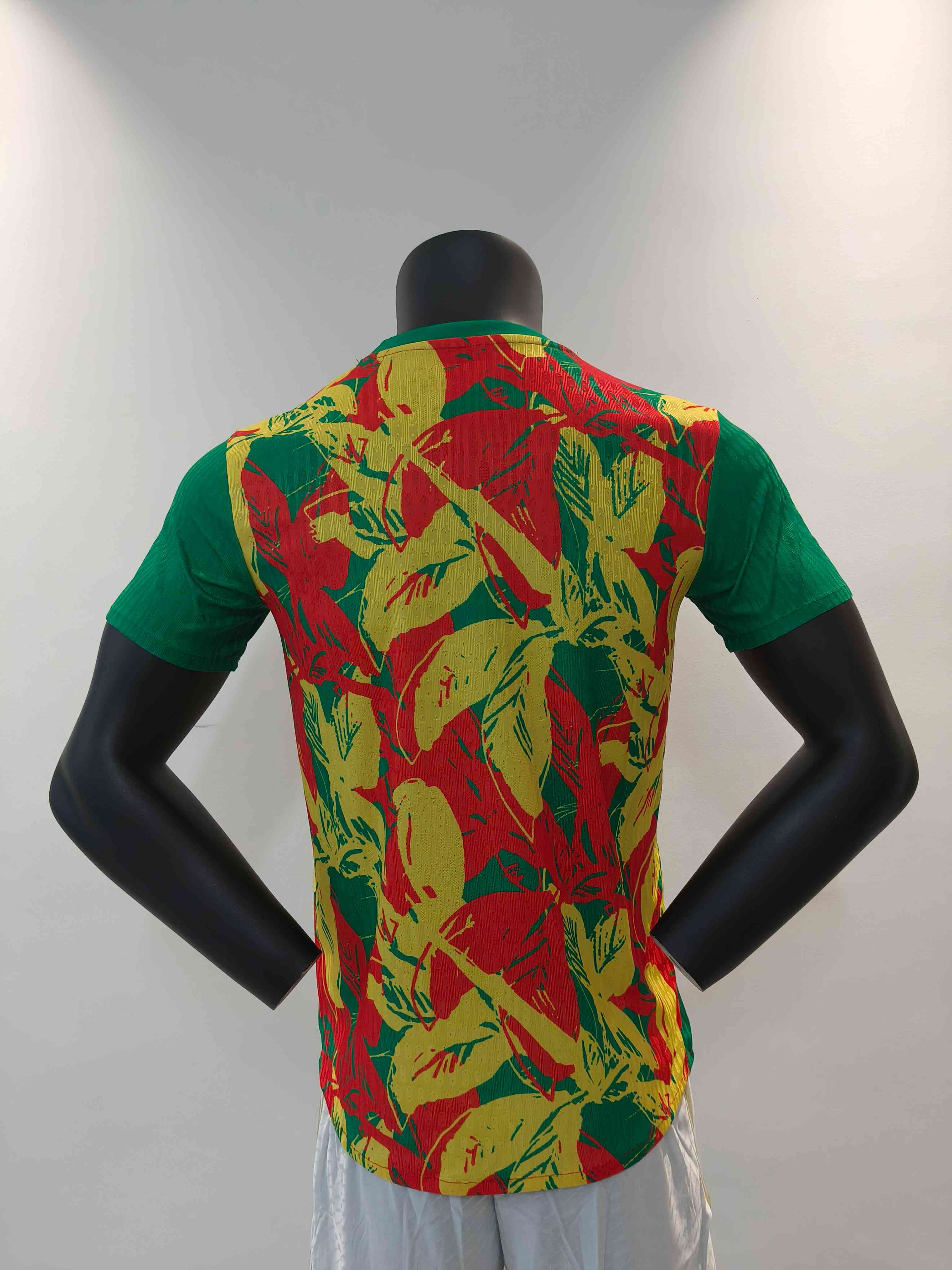 24/25 Senegal Special Edition Football Shirt-mysite Custom Football Kit- Nextkits